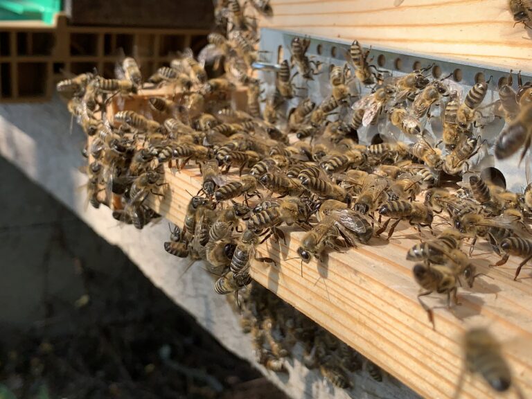 Visuel de l'entreprise